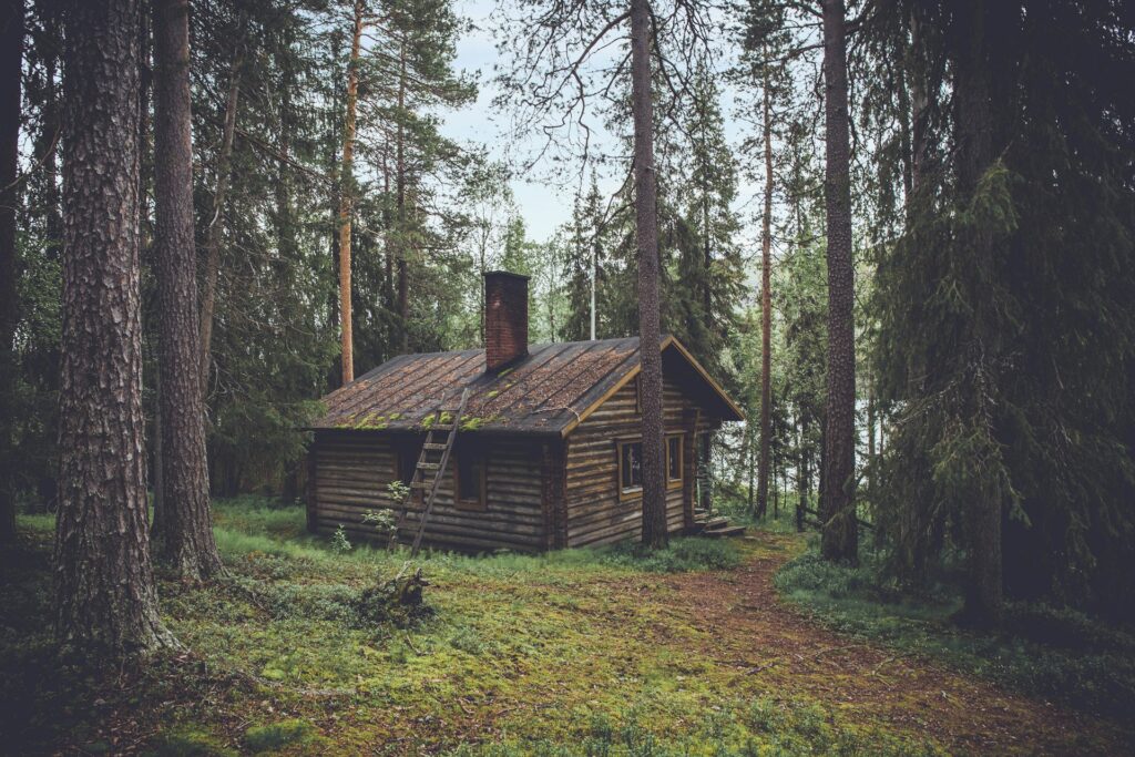Wooden cabin in the forest